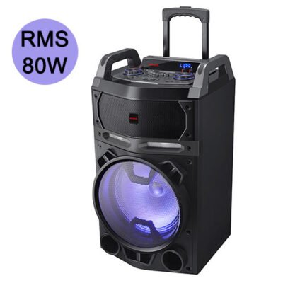 AIWA PORTABLE TROLLEY SPEAKER RMS 80W ‘THE THUNDER’